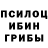 Псилоцибиновые грибы Psilocybine cubensis Pamir Joldasbev