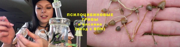 соль ск Горно-Алтайск