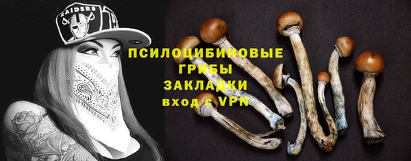 кокс Гусь-Хрустальный