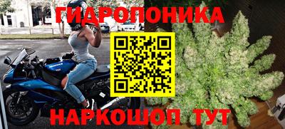 трава Дубна
