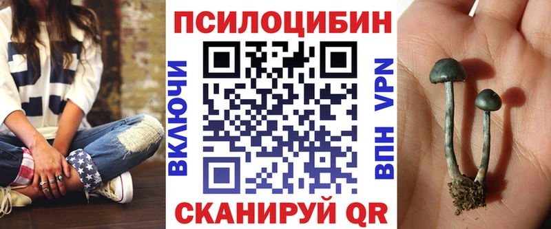 Псилоцибиновые грибы Psilocybine cubensis  OMG tor  Дальнегорск 