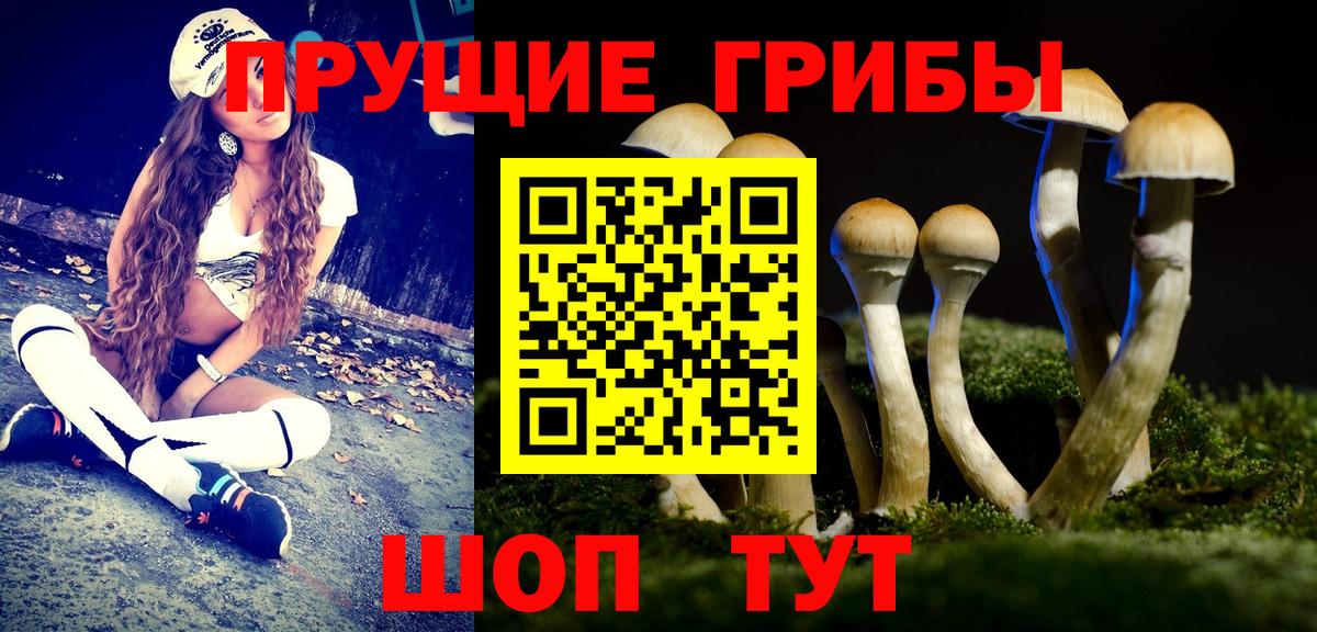 Галлюциногенные грибы Psilocybine cubensis Дальнегорск
