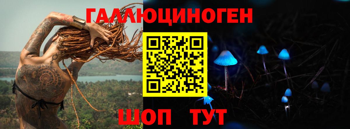 Псилоцибиновые грибы Cubensis  Вход с VPN  наркота  Дальнегорск 