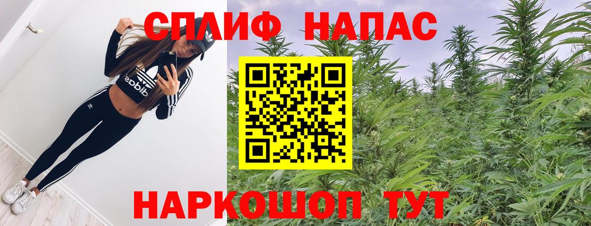 Шишки марихуана ГИДРОПОН  Шишки марихуана MAZAR  Дальнегорск  Бошки марихуана OG Kush  Вход с VPN 